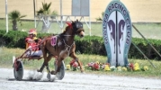 24th horse-racing meeting 2012 – 6th May 